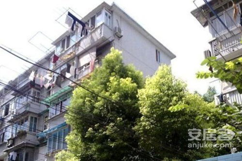 双辽支路70弄小区优点 不足,双辽支路70弄小区怎么样,双辽支路70弄小区周边房产中介经纪人评价