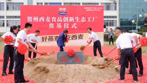 实现全产业链升级 贺州西麦燕麦食品创新生态工厂奠基开建