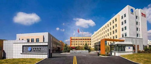 中宠新品开新局 顽皮鲜盒切入主食湿粮新品类