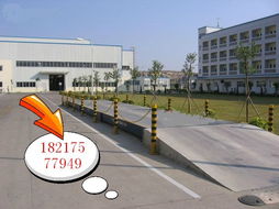 10米地磅 双辽厂家...80吨