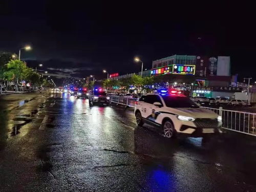 双辽公安织密 三张网 护航稳定保平安