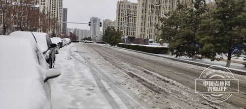 长春四平松原13个市县降暴雪,梨树孤家子长岭出现大暴雪,双辽降特大暴雪