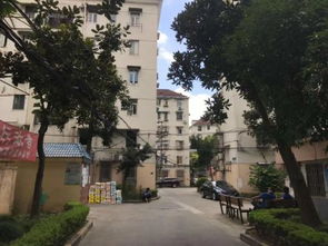 双辽支路70弄小区优点 不足,双辽支路70弄小区怎么样,双辽支路70弄小区周边房产中介经纪人评价