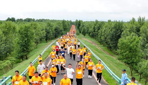 跑出双辽 加速度 2024双辽乡村 森林 马拉松鸣枪开跑