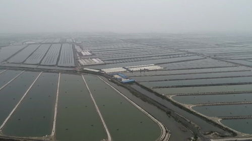 海产品工厂化养殖保障休渔期市场稳定供应