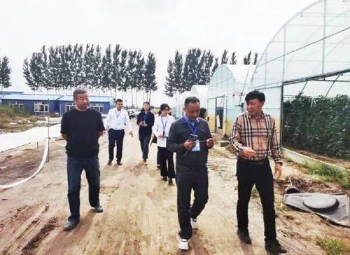 创业联盟 发力,双辽成功举办民企帮扶购销会