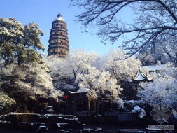苏州园林精华1日游 a线